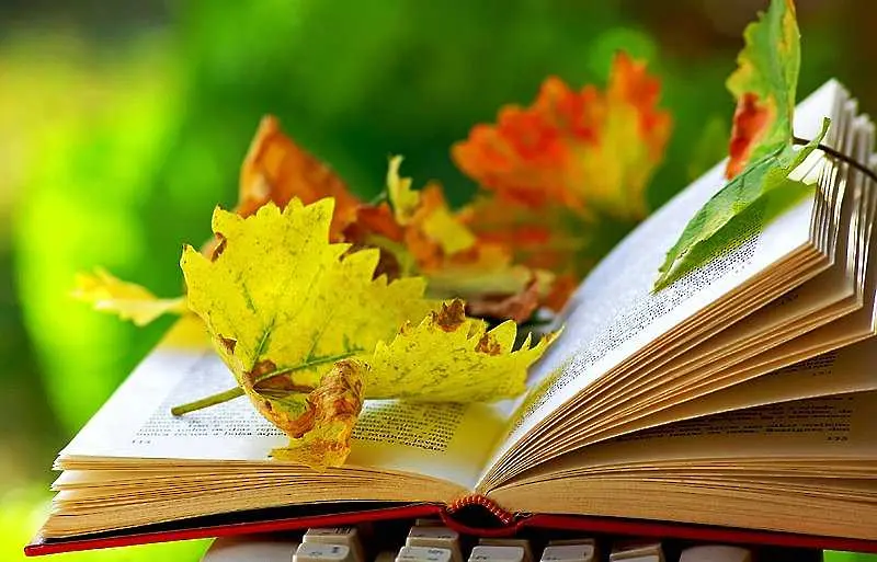 10 книги, с които есенната депресия ще ни подмине