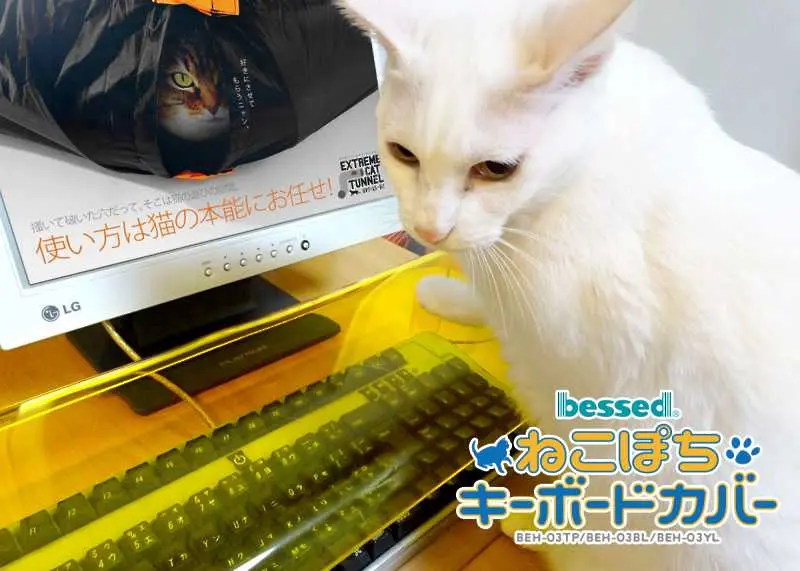 Японци измислиха защита на клавиатурите от котки