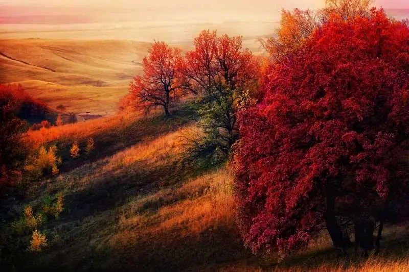 15 кътчета по света, където есента е приказно красива