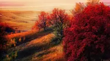 15 кътчета по света, където есента е приказно красива