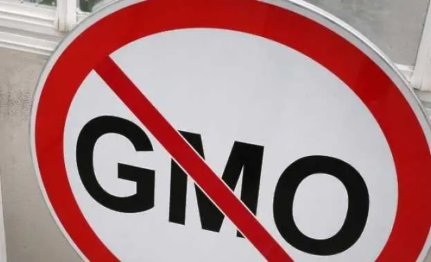 Уведомихме Брюксел: Няма да се откажем от забраната на ГМО!