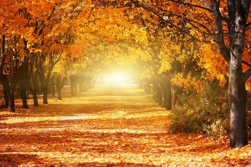 Поетични цитати за есента