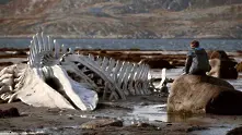Режисьорът на „Левиатан“  замисля нов филм