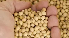 10 тона ГМО соя откриха в предприятие за пакетиране на ядки