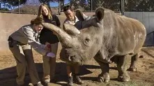 Почина един от последните северни бели носорози, остават 3
