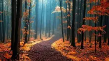 15 горски пейзажа, които омайват със своята мистика