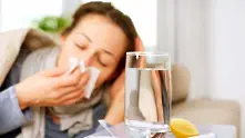 5 области пред грипна епидемия