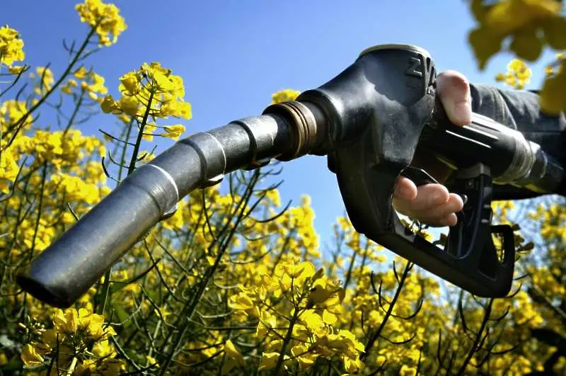 Съмнителен биодизел заплашва европейския пазар на екогорива