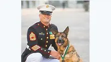 Куче спасител от Афганистан получи медал за храброст