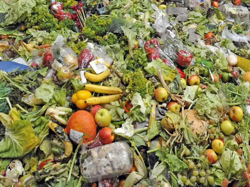 Магазини изхвърлят стотици хиляди тонове храна - нямат изгода да я даряват
