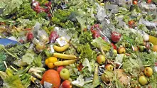 Магазини изхвърлят стотици хиляди тонове храна - нямат изгода да я даряват