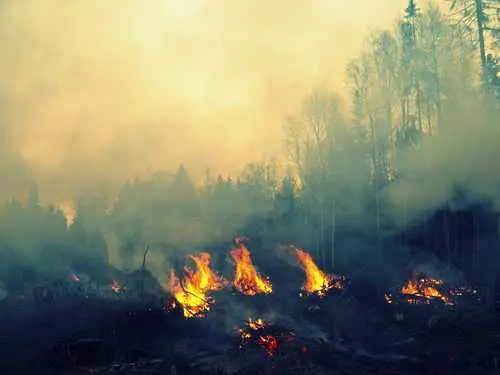 Над 200 погасени пожара за миналото денонощие