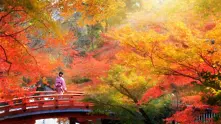 15 причини да посетите Япония и да се насладите на нейната красота