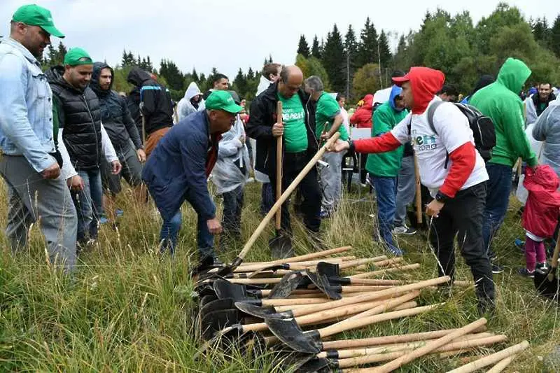 350 дръвчета бяха засадени на Витоша