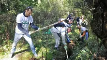 350 дръвчета ще бъдат засадени в природен парк „Витоша“