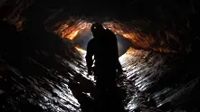 Откриха 30 нови животински вида в хърватски пещери