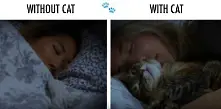 Видео: Как котката променя ежедневието ни