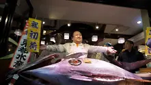 Огромна риба тон за суши бе продадена за 634 хил. долара 