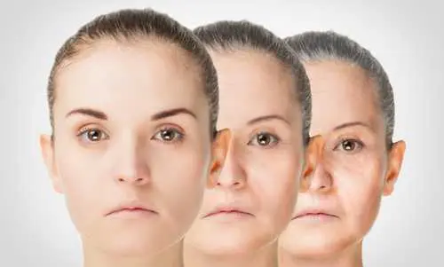 Учени откриха главния фактор за стареенето