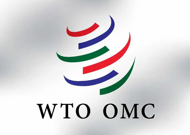 Пекин: ЕС ще подкрепи Китай за признаването ни за пазарна икономика в рамките на СТО