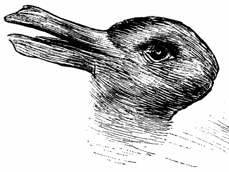 Какво виждате на снимката - патица или заек?