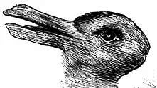 Какво виждате на снимката - патица или заек?