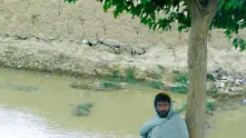 Tалибанският лидер призова афганистанците да садят повече дървета