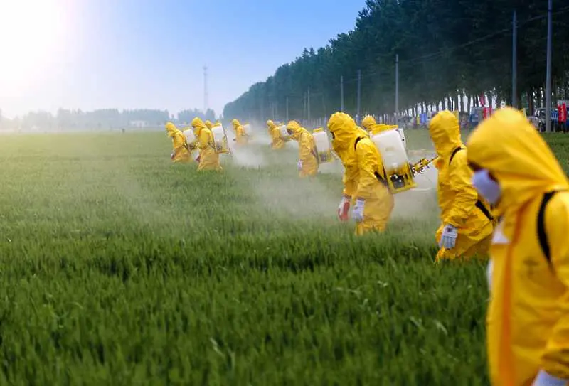 ООН: Пестицидите не са необходими за изхранването на световното население
