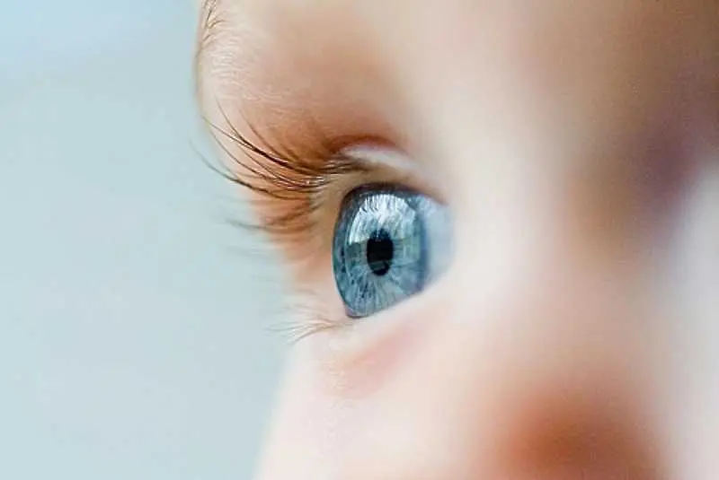5 признака, които издават проблем със зрението на малките деца