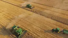 Над 5 милиона тона се очаква да е реколтата от пшеница