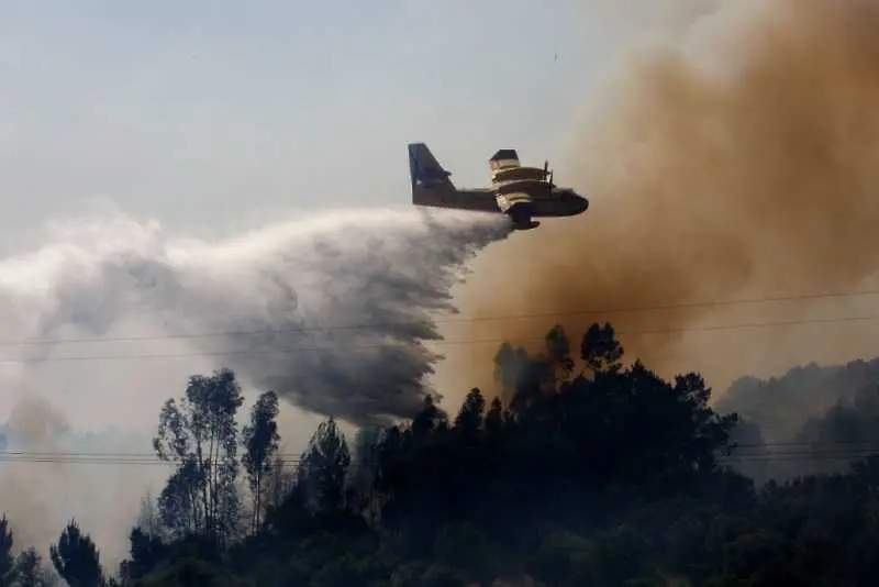 В Португалия падна самолет, участващ в гасенето на пожарите