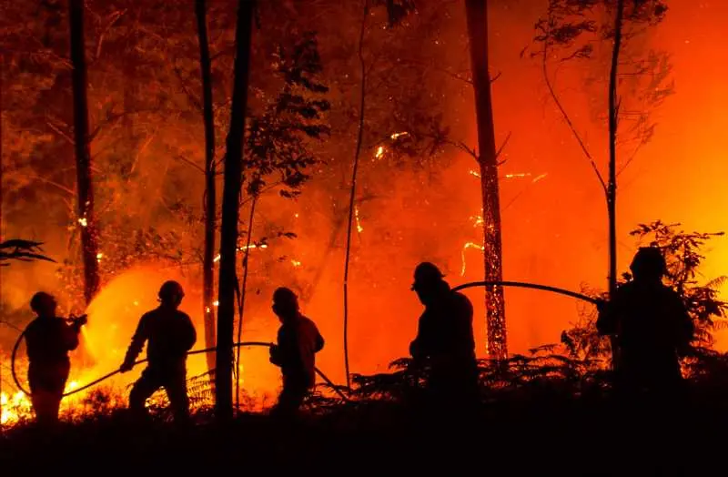 Португалия: Пожарникари заподозряха умишлен палеж в гората