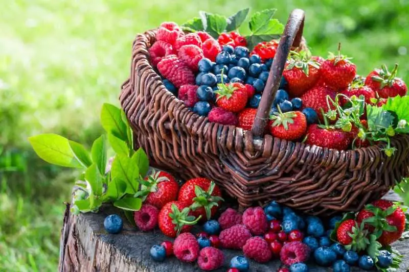 Плодове за здрава и красива кожа