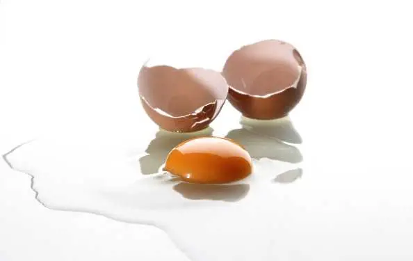  Спецоперации в Белгия и Германия заради токсичните яйца