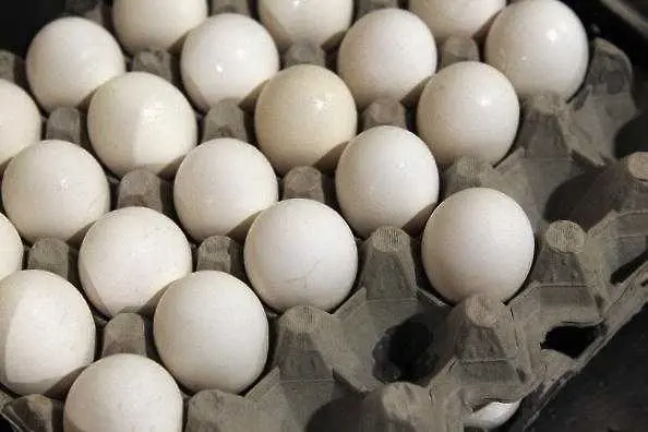 20 тона от заразените яйца са били продадени в Дания, ЕК свиква спешна среща