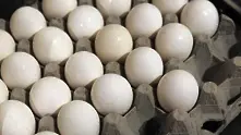 20 тона от заразените яйца са били продадени в Дания, ЕК свиква спешна среща