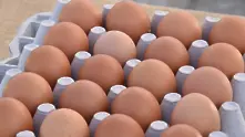 3 държави разследват скандала със заразените яйца в ЕС