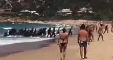 Лодка с мигранти пристига на плаж в Южна Испания (видео)