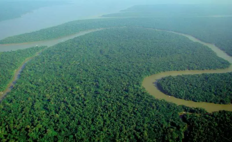 Амазония: Милиони хектари гора бяха дадени на минните компании 