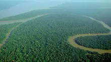 Амазония: Милиони хектари гора бяха дадени на минните компании 