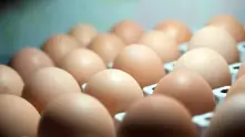 Няма опасни яйца и яйчни продукти на българския пазар