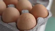 Откриха над 200 000 яйца с фипронил в Пловдив