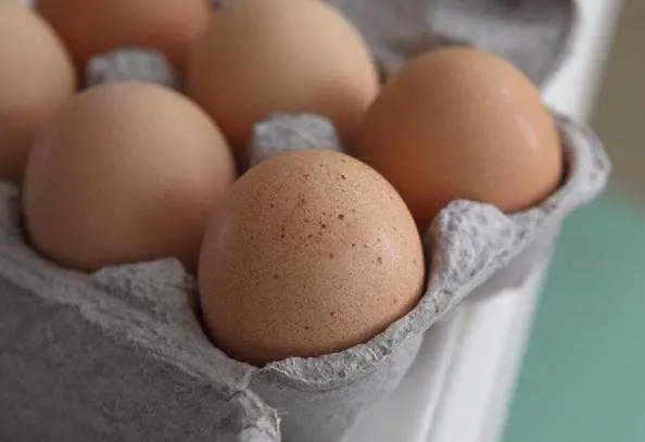 Иззетите до момента яйца с фипронил у нас надхвърлят 1,5 млн.