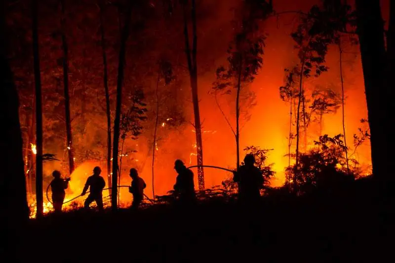 Португалия записа черен рекорд по брой на пожарите