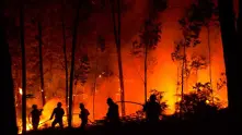 Португалия записа черен рекорд по брой на пожарите
