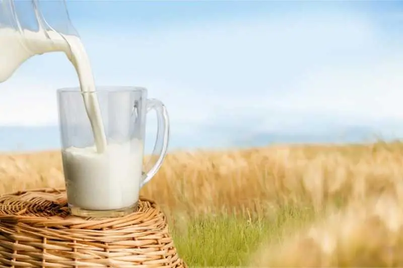 Анализи: Млякото в полипропиленовите опаковки запазва качествата си