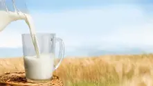 Анализи: Млякото в полипропиленовите опаковки запазва качествата си