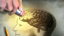 Хигиена за мозъка - 5 начина да запазите интелекта си