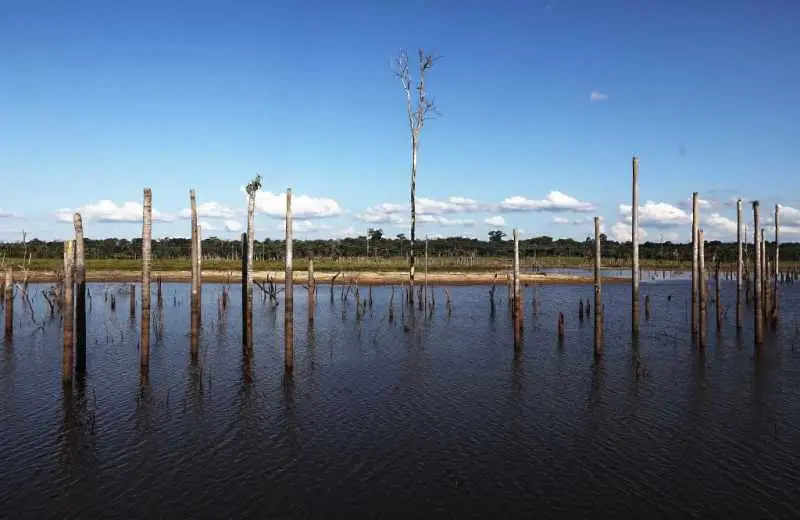 Амазония: Обезлесяването е намаляло с 16%