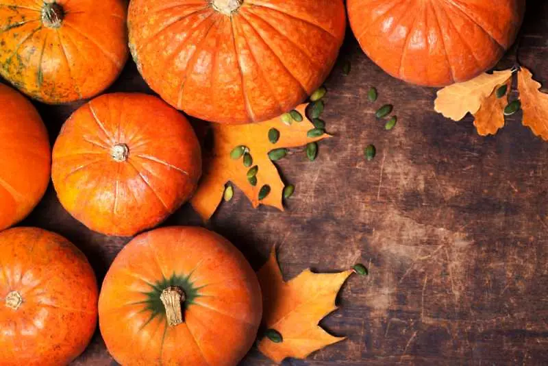 5 супер храни за есента